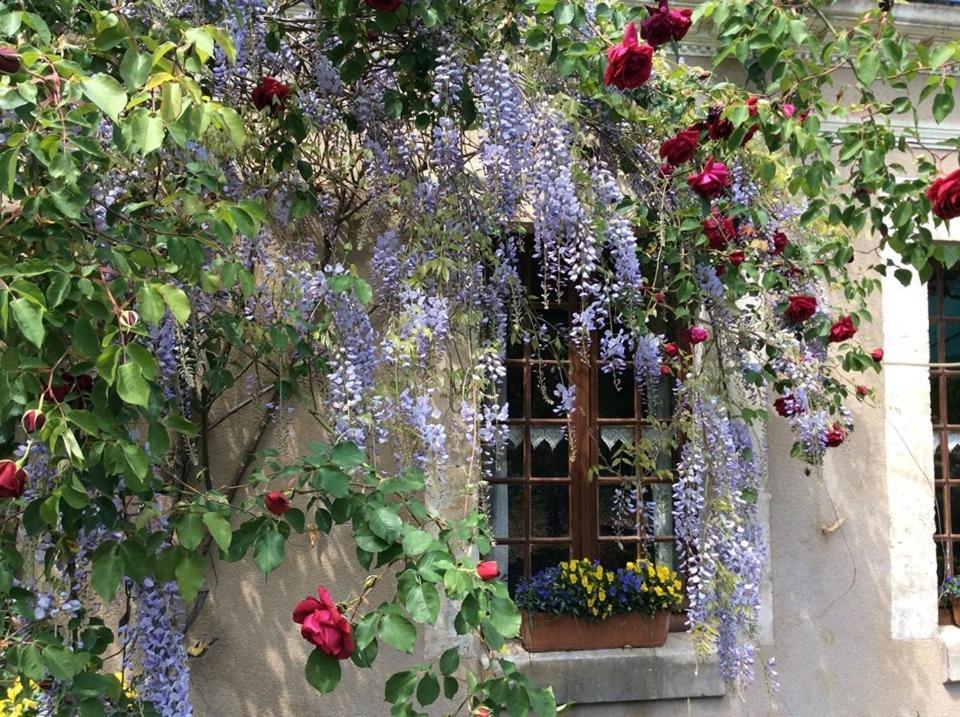 Cote Jardin Bed and Breakfast Villiers-sur-Loir Eksteriør billede
